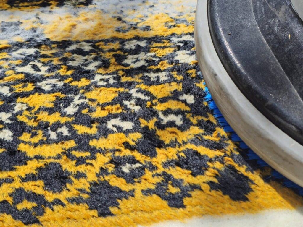 544428921_766447836144109_3709995288154159476_n