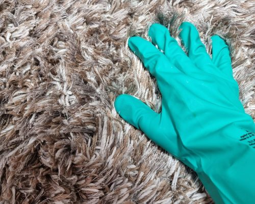 IMG_20221214_190327_565