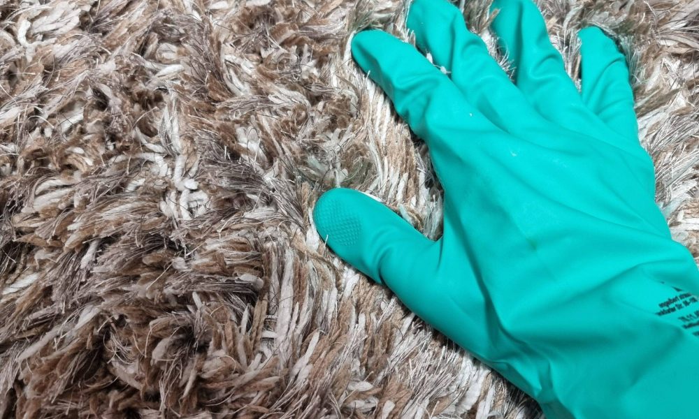 IMG_20221214_190327_565