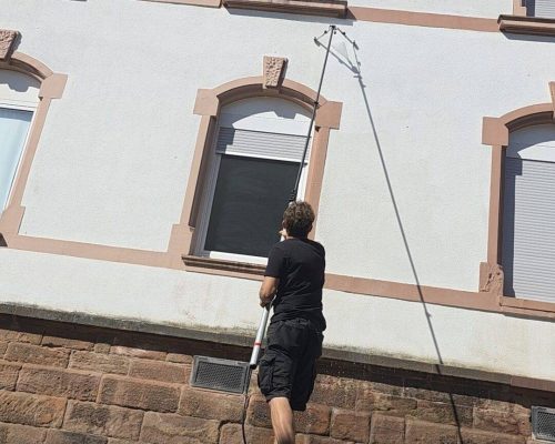 Screenshot_20250920_090716_Gallery